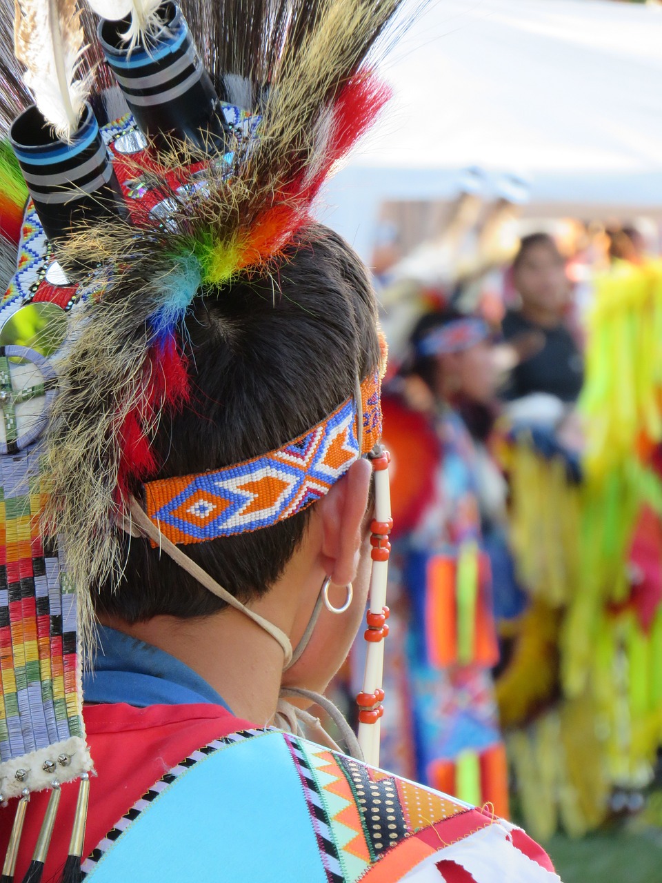 first nation, warrior, headdress-908605.jpg