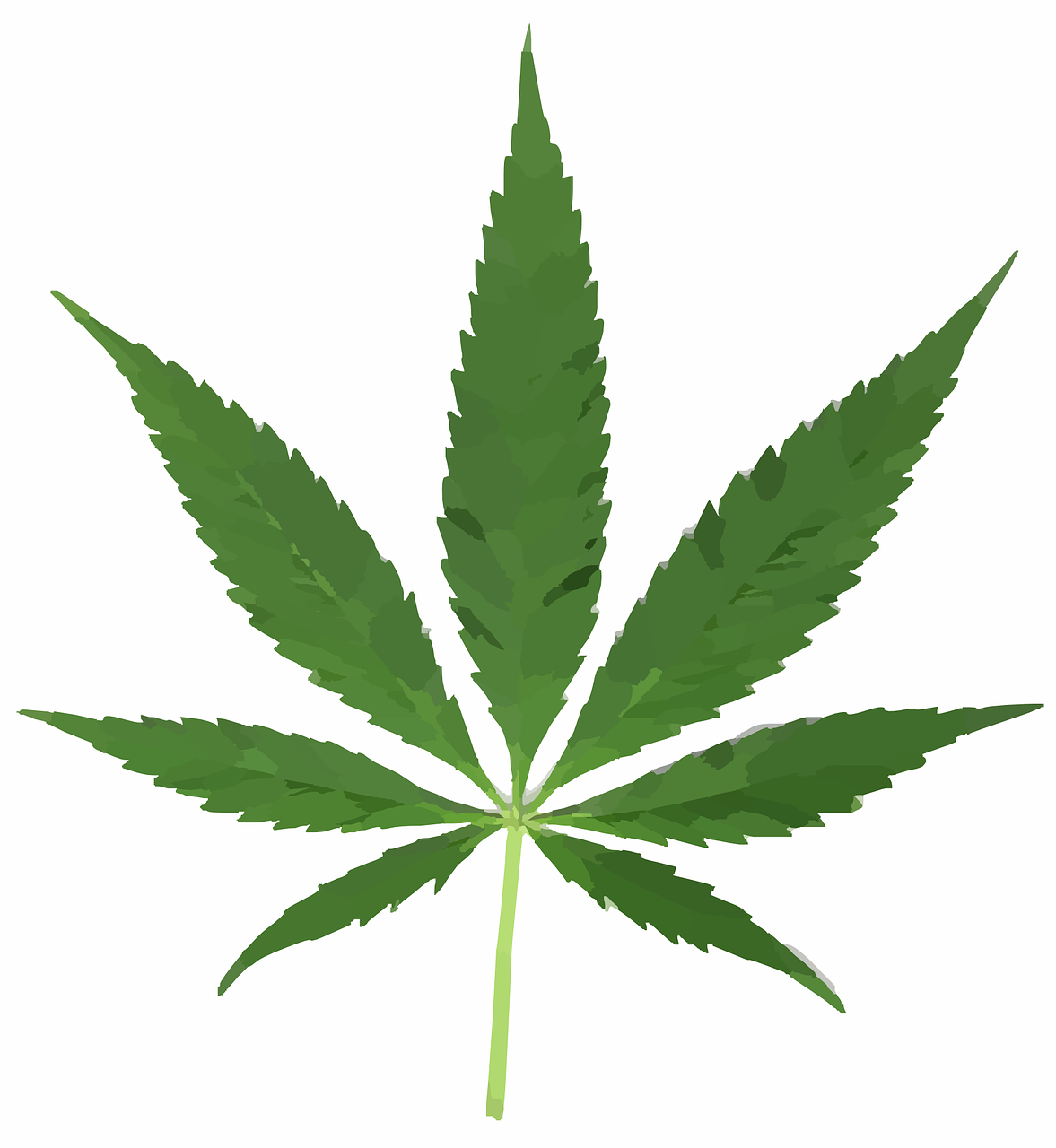 cannabis, leaf, pot-297097.jpg